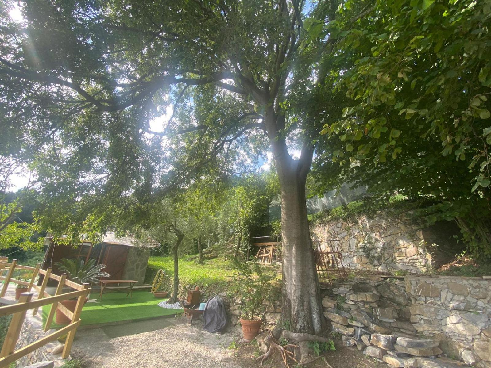 La Sosta Al Bagolaro Rapallo Exterior foto